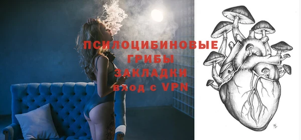 дмт Алексин