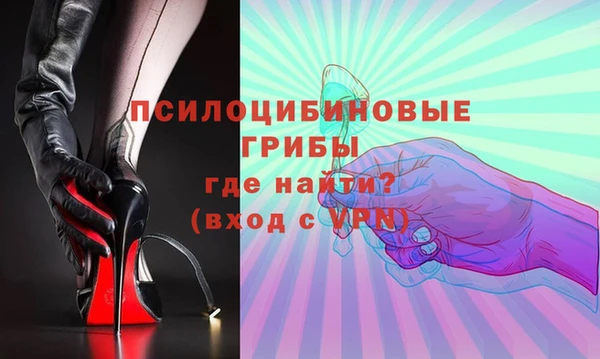 шишки Абинск